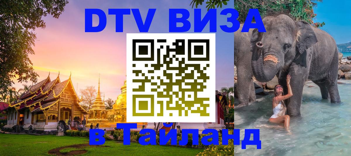 Сколько стоит DTV виза — актуальные цены, оформление даже без документов - 08.12.2025 